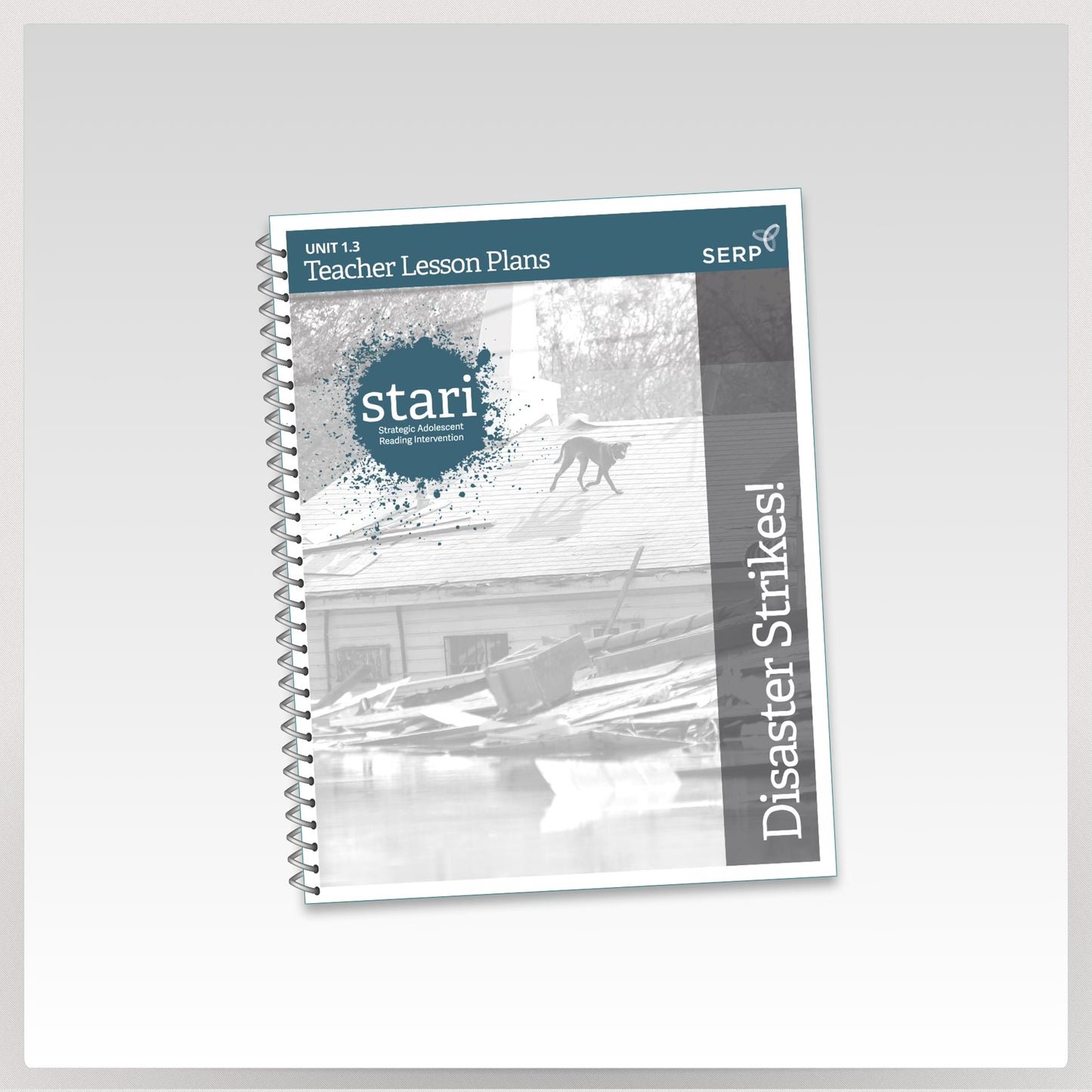 STARI 1.3 Teacher Lesson Plans