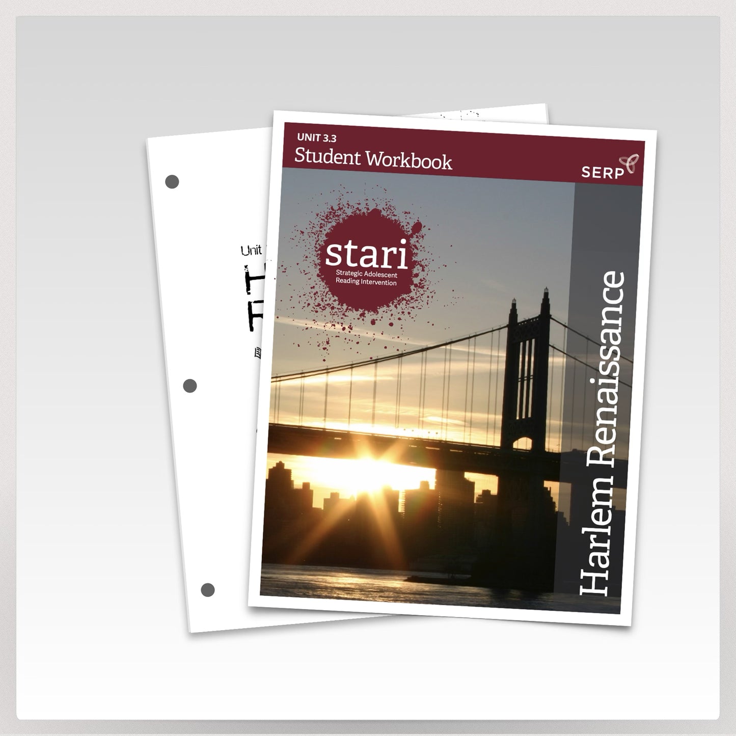 STARI 3.3 Student Workbook
