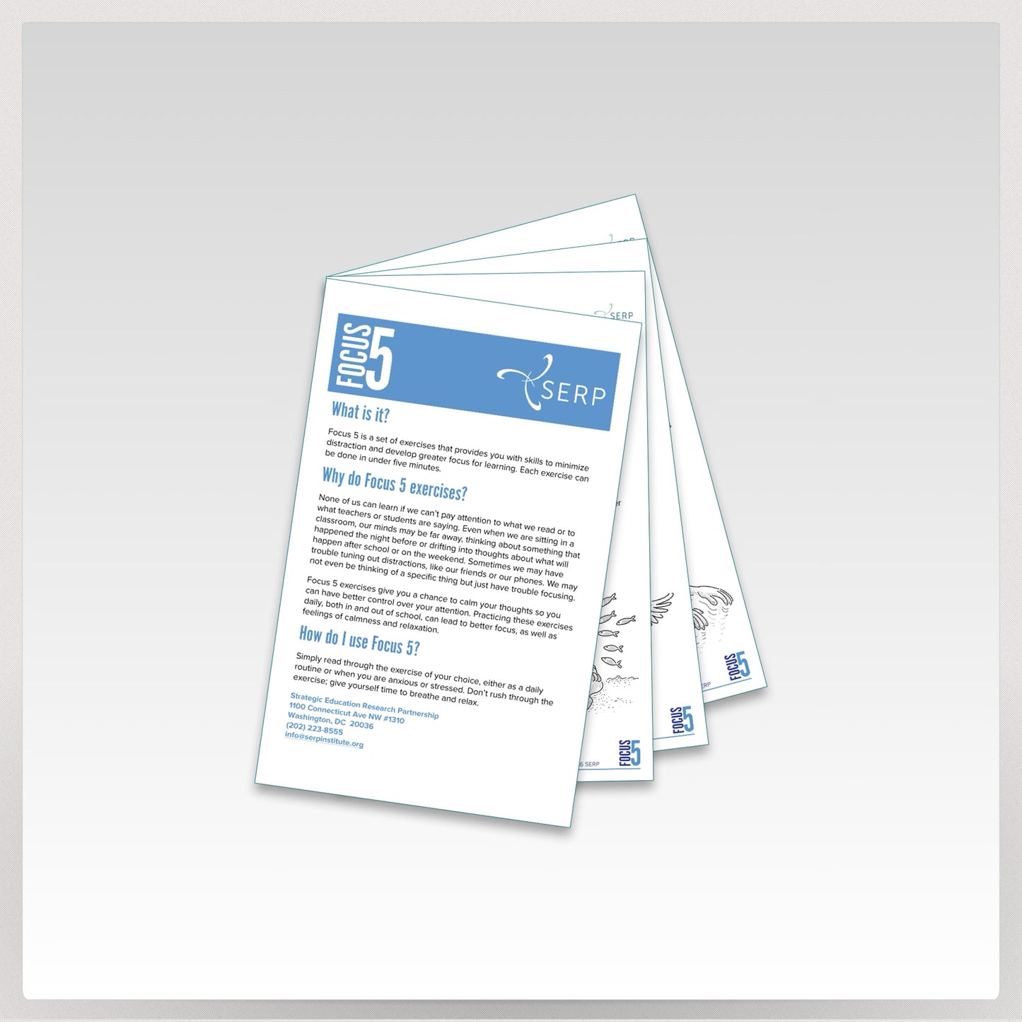 Focus 5 Cards