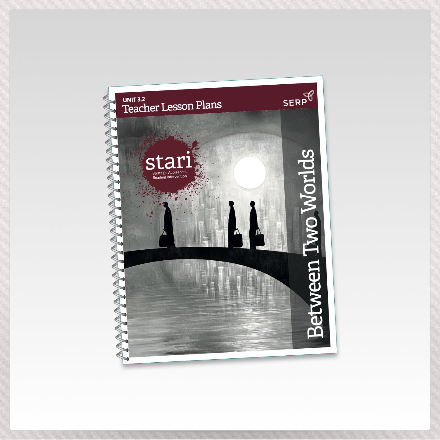 STARI 3.2 Teacher Lesson Plans