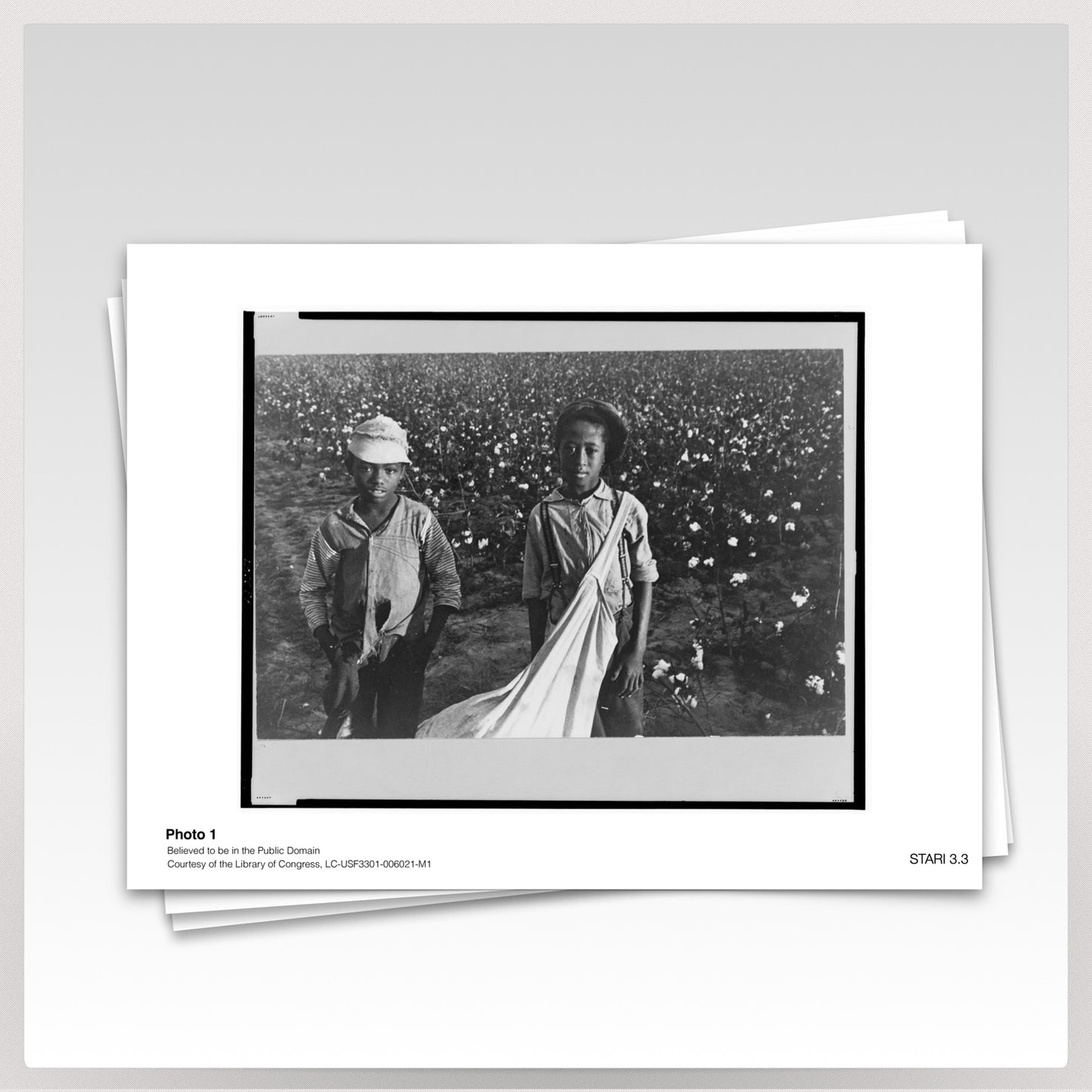 STARI 3.3 -  Great Migration Activity Photos (Class set: 11 images, 1/pair)