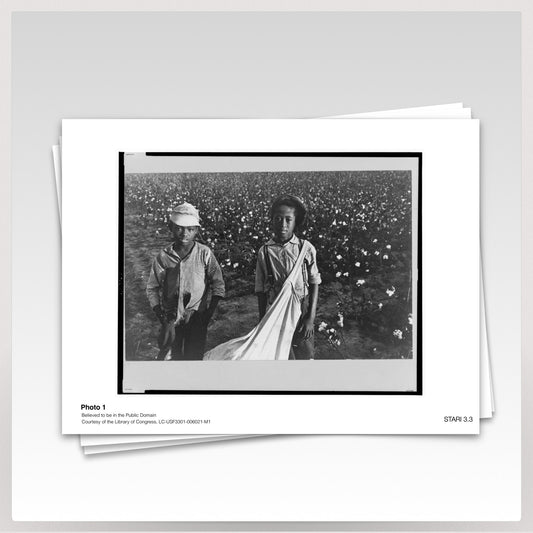 STARI 3.3 -  Great Migration Activity Photos (Class set: 11 images, 1/pair)